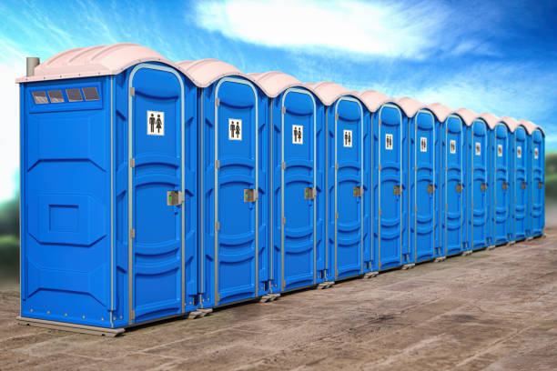 Best Standard Portable Toilet Rental  in Holt, MI